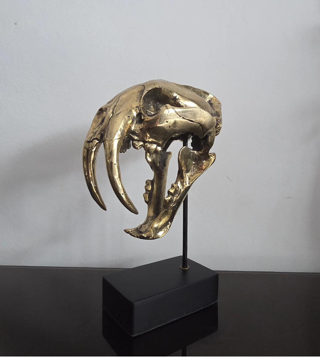 Craniu Smilodon (Saber Tooth) - Sculptura Bronz 2