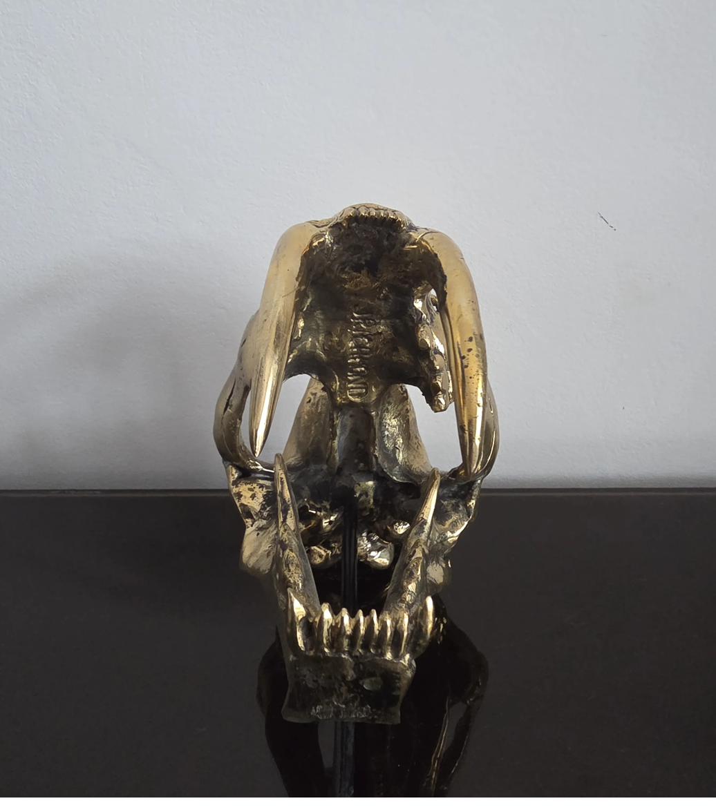 Craniu Smilodon (Saber Tooth) - Sculptura Bronz 5