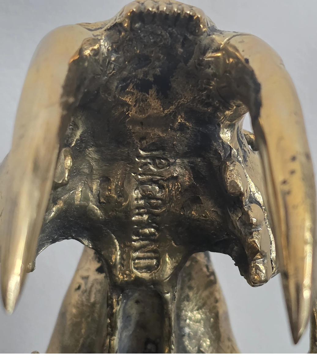 Craniu Smilodon (Saber Tooth) - Sculptura Bronz 6