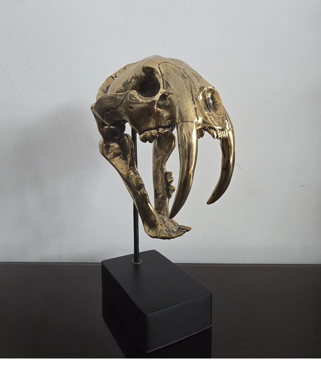 Craniu Smilodon (Saber Tooth) - Sculptura Bronz 4