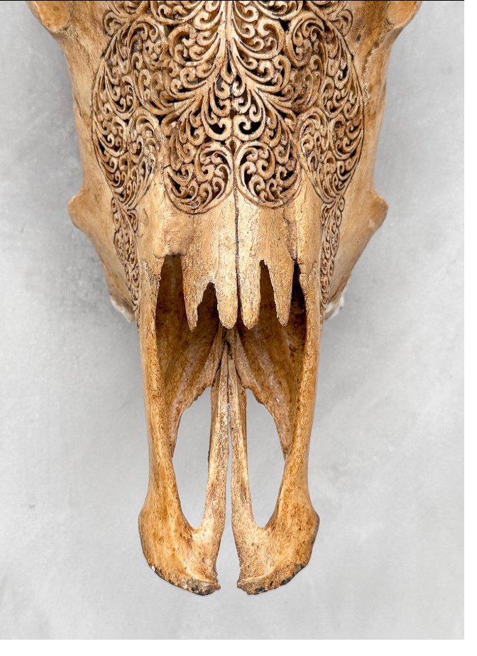 Craniu Sculptat Manual — Motiv Fern Leaf 3