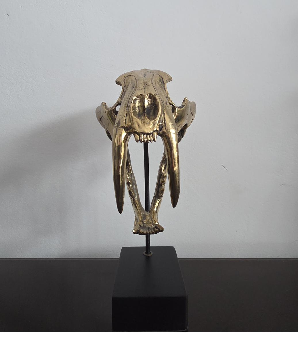 Craniu Smilodon (Saber Tooth) - Sculptura Bronz 3